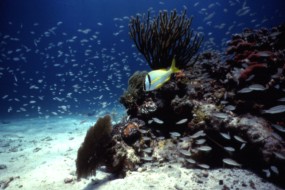 Biscayne National Park