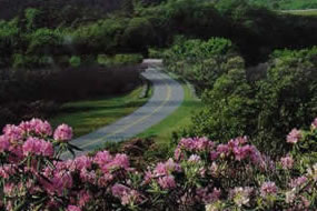 Blue Ridge Parkway