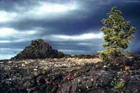 Craters Of The Moon National Monument & Preserve