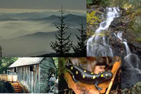 Great Smoky Mountains National Park