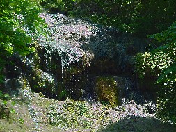 Hot Springs National Park