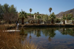 Mojave National Preserve