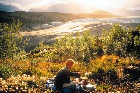 Wrangell - St Elias National Park & Preserve