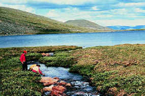 Yukon - Charley Rivers National Preserve